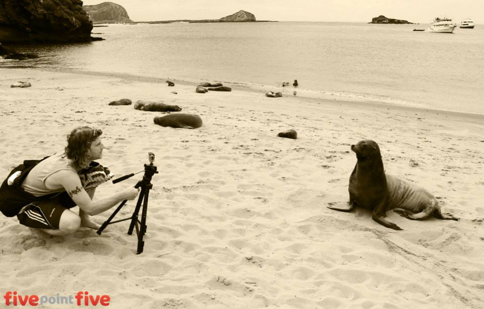 Getting up close to a seal lion in the Galapagos Islands